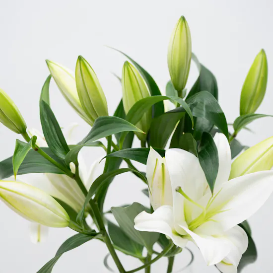 Godiva Chocolates Hamper Basket | White Lilies Vase