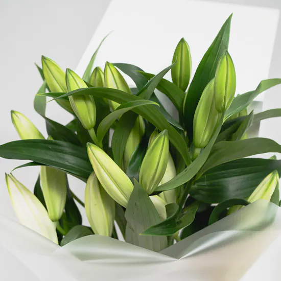 Feel Good Tea Wooden Box | White Liliums Bouquet