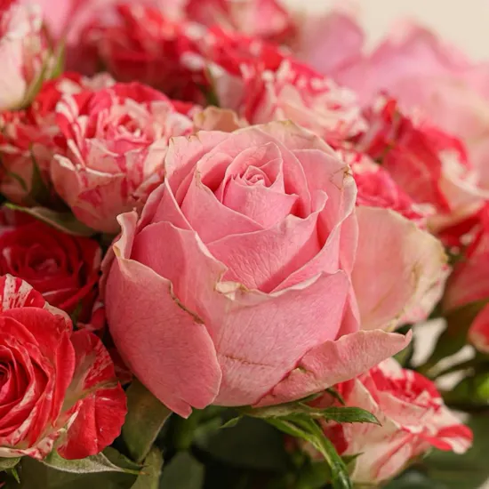 Mother Radiant Roses Vase